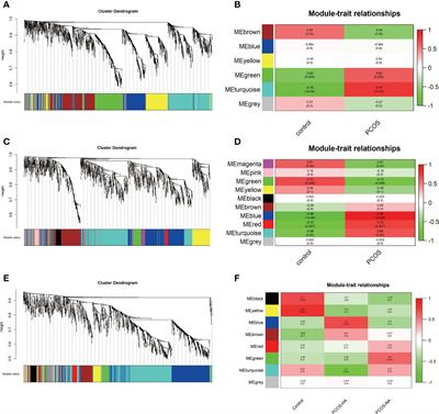 Polycystic ovary syndrome: Identification of novel and hub biomarkers in the autophagy-associated mRNA-miRNA-lncRNA network